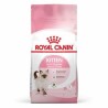 Royal Canin Kitten 400gr Yavru Kedi Maması | Bağışıklık & Sindirim Desteği