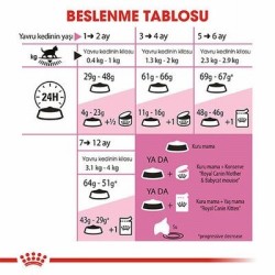Royal Canin Kitten 400g Dry Kitten Food | Immunity & Digestion Support