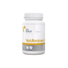 Vetexpert VetAminex 60 Capsules | Cat Dog Multivitamin & Amino Acid Supplement