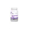 Vet Expert GeriatiVet Dog Large Breed 45 Capsules | +5 Years Large Breed Senior Dog Health Support