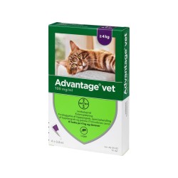 Advantage Cat 0.8 ml (Over 4 kg) | 4-Pack Flea Spot-On