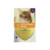 Advantage Multi Cat 0.8 ml (4-8 kg) 3 Pipettes | Internal & External Parasite