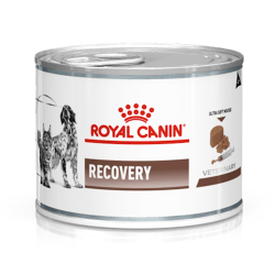 Royal Canin Recovery Wet Food 165g | Cat & Dog Critical Care Diet