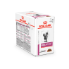 Royal Canin Renal With Beef 85 gr 12 pieces | Kidney-Supporting Wet Cat Food